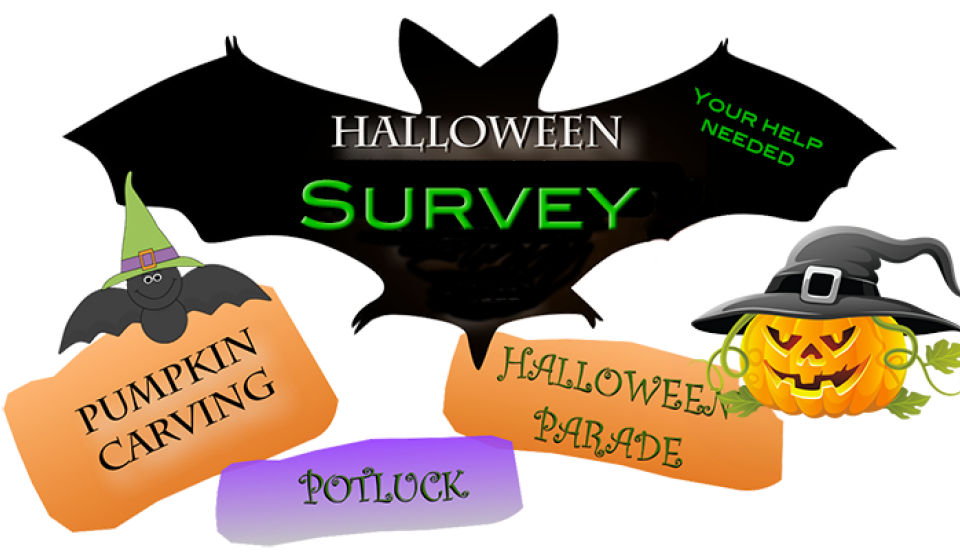 Survey of Halloween in University Park Neighborhood